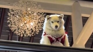 팬티보여주며 유혹하는..