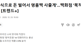 11월 백화점 명품 매출 전년대비 23.3%