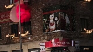 이브인 오늘자 성심당 오픈런