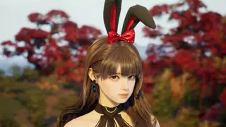 자연미인 청순한 토끼