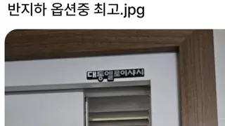 최고의 반지하 옵션