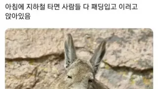 2025년  한해를 회고하는 LLM프롬프트