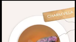 대만에서 판다는 금붕어 티백