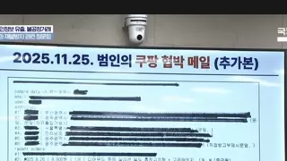 쿠팡 청문회 등장한 딜도