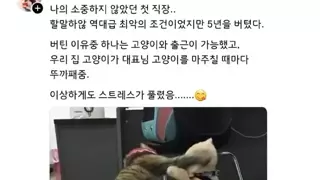 회사에서 5년을 버틸 수 있었던 이유.jpg