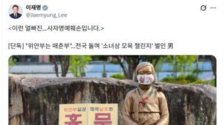 위안부 소녀상 문제 결국 대통령이 나섰네요.