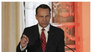 '그린란드 수호'로 뭉친 유럽...독·프·폴 