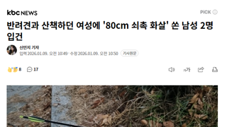 반려견과 산책하던 여성에 '80cm 쇠촉 화살' 쏜 남성 2명 입건