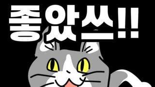 시골에서 가끔 너구리를 키우게되는 이유