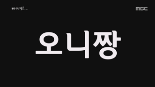 '고양이 집 부수지 마, 변상금 청구'…'캣맘' 호소문 논란