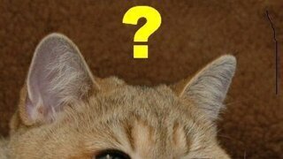 지금 민주당 지지자들이 지금 개빡친 이유