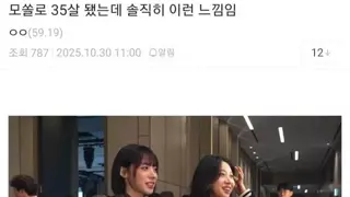 35살 모솔 디시인의 느낌