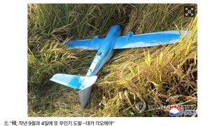 與, '尹대통령실 근무' 30대男 北무인기 자수에 