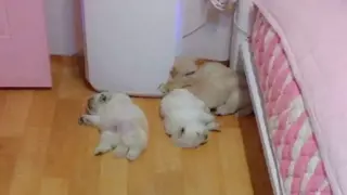 보일러 끄는걸 깜빡하고 출근해서 생긴 대참사..