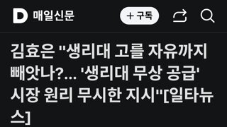 국힘 김효은 