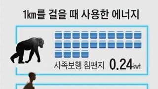 '걷기'로 살을 빼기 어려운 이유