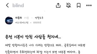 운전하다보면 은근 많이 보이는 등신들