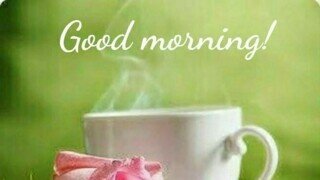 1월23일, 금요일 신문을 통해 알게 된 것들