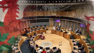 이 법이 통과되면 우리나라는 어케될까?