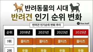 반려견 종별 인기 순위 변화 추이
