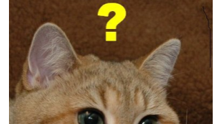 오늘 판결을 보니 내란재판도 방심할게 아님