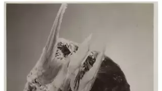 19세기 빅토리아 시대에 유행했던 모자