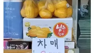 썸네일 이미지