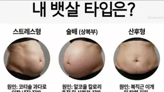 내 뱃살 타입은?