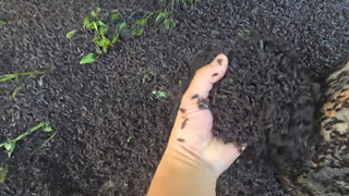 이번주에는 진짜