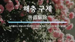 모음) 탈출은 지능순 모음.. 펨코와 젓가락 탈출