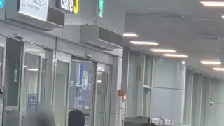 롯데 도박 4인방 귀국 사진