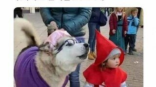 김민석 통일교와 유착 의혹