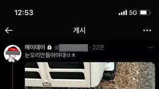 눈이 와서 신난 부산사람