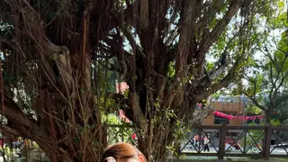 충격적인 파리바게뜨 빵 가격 인하 근황