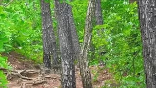 싱글벙글 레전드 등산객 모임...jpg