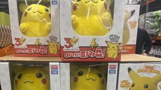 현재 피카츄 인형으로 민심 나락간 아카데미과학