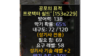 아까운 팔라 방패