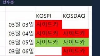 국장 사이드카 근황