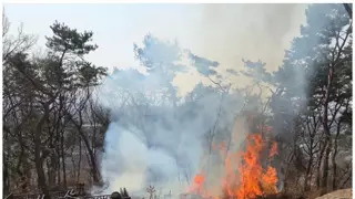 [단독]수원 팔달산 다 태우려했나…방화 용의자, 7곳에 불 질렀다
