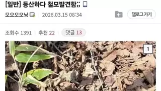 등산하다 철모 발견한 디시인