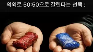 의외로 50:50으로 갈린다는 선택