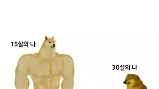 사회 생활하면서 킹정하는 부분