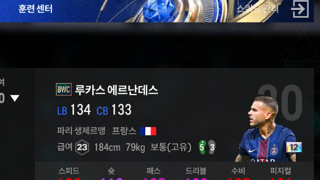 bwc 12카 23급여 144버롤 루카스 에르난데스 판매합니다.