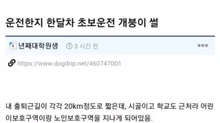 운전 1달차 초보의 하소연