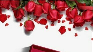 2026년 3월 21일 토요일 간추린 뉴스