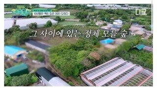 김숙이 제주별장 10년간 방치하다 리모델링 할려는데