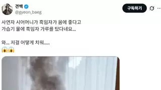 시어머니 때문에 대참사난 가습기.jpg