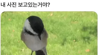 내 사진 보고있는거야?