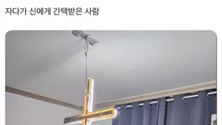 간택 레전드