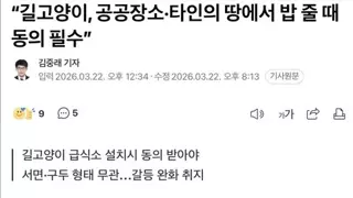 “길고양이, 공공장소·타인의 땅에서 밥 줄 때 동의 필수”